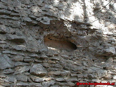 Ruine Kammerstein