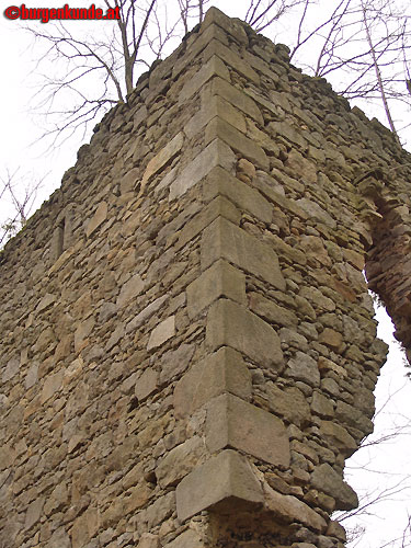 Ruine Kronast / Oberösterreich