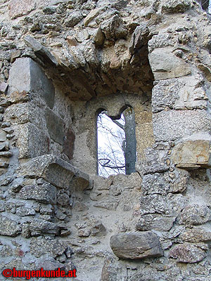 Burgruine Ruttenstein / Oberösterreich