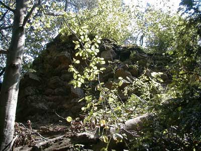 Ruine Säbnich